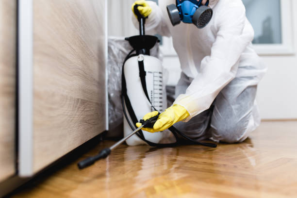 Best Termite Control Services  in Keego Harbor, MI