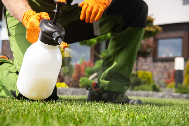 Best Flea Control Services  in Keego Harbor, MI