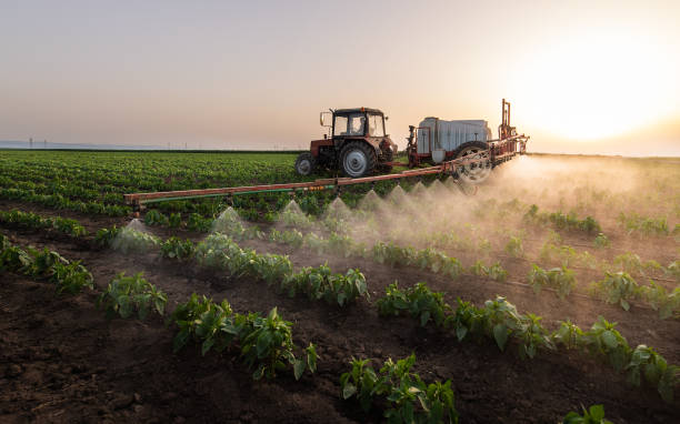 Best Ant Control Services  in Keego Harbor, MI