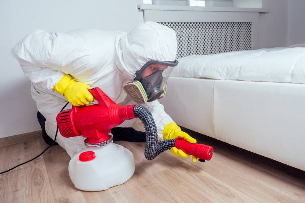 Trusted Keego Harbor, MI Pest Control Experts