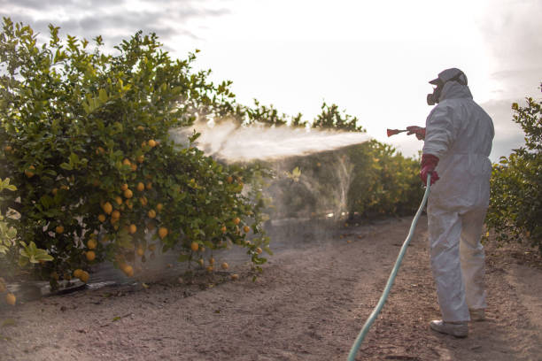 Best Mosquito Control Services  in Keego Harbor, MI