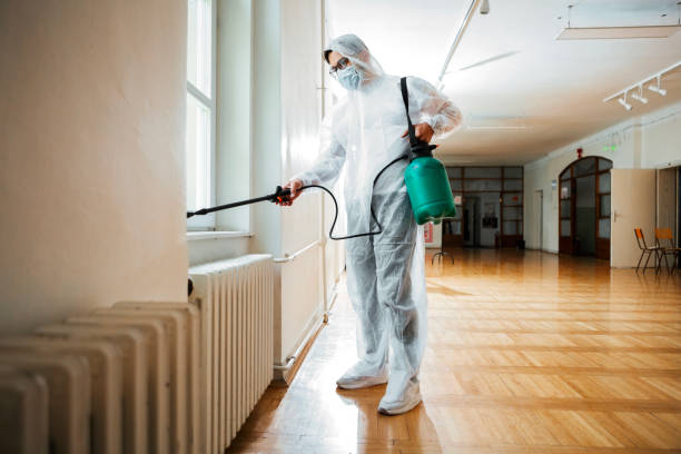 Best Pest Inspection Near Me  in Keego Harbor, MI