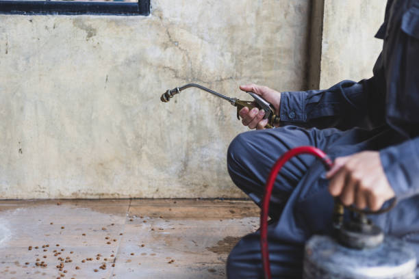 Best Pest Removal Services  in Keego Harbor, MI