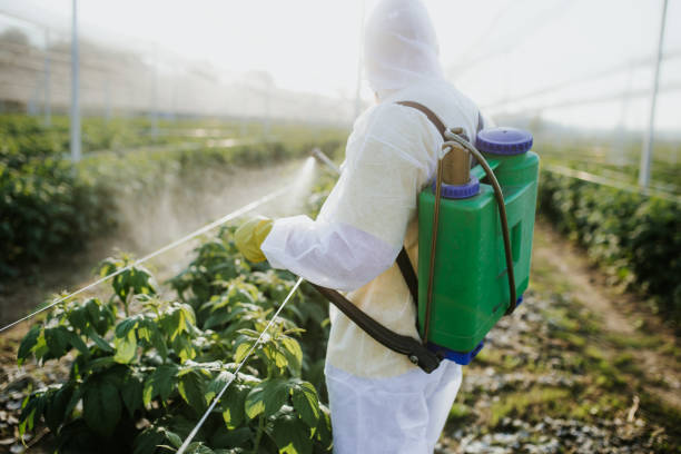 Best Bed Bug Extermination  in Keego Harbor, MI